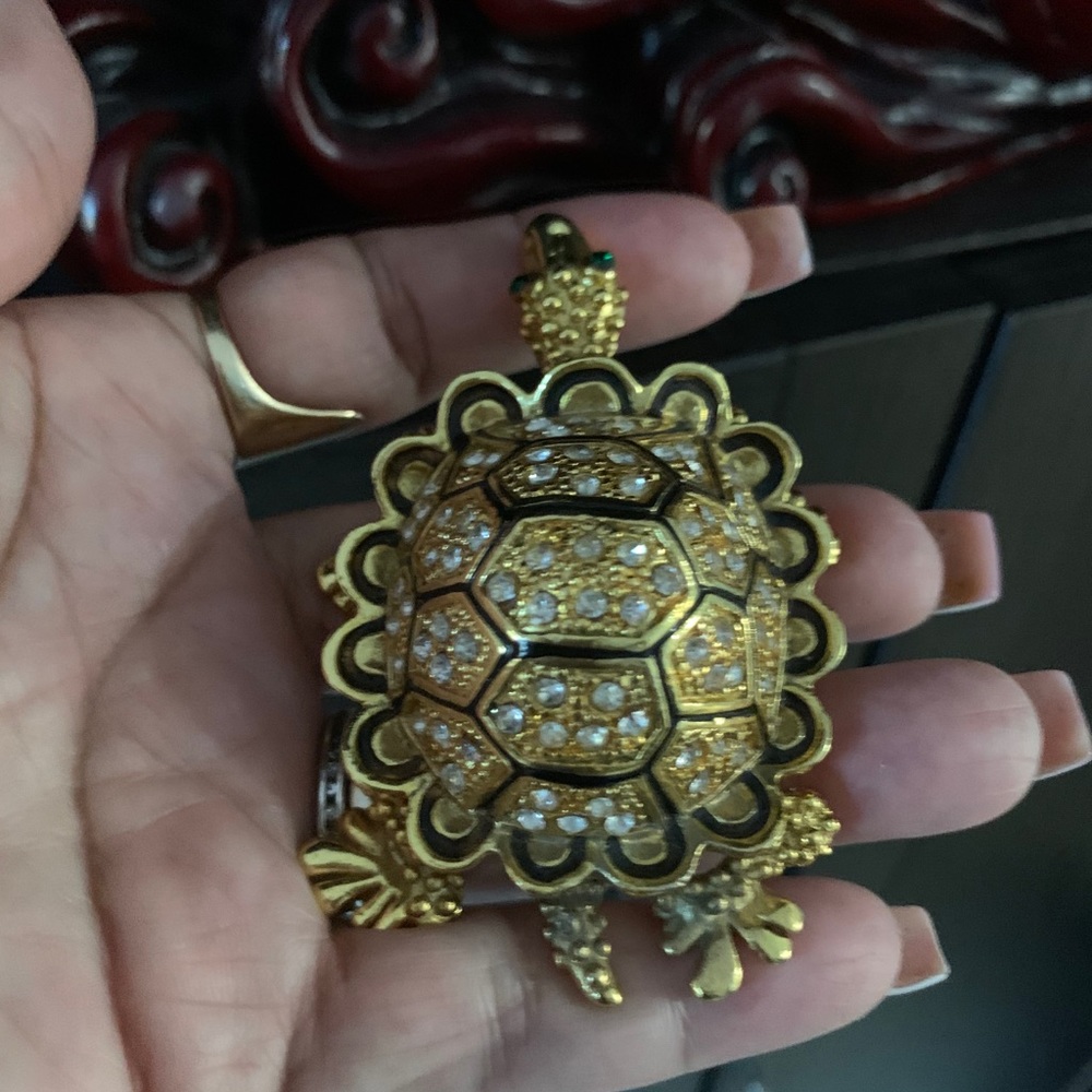 🈴BronzeTurtle2@$25